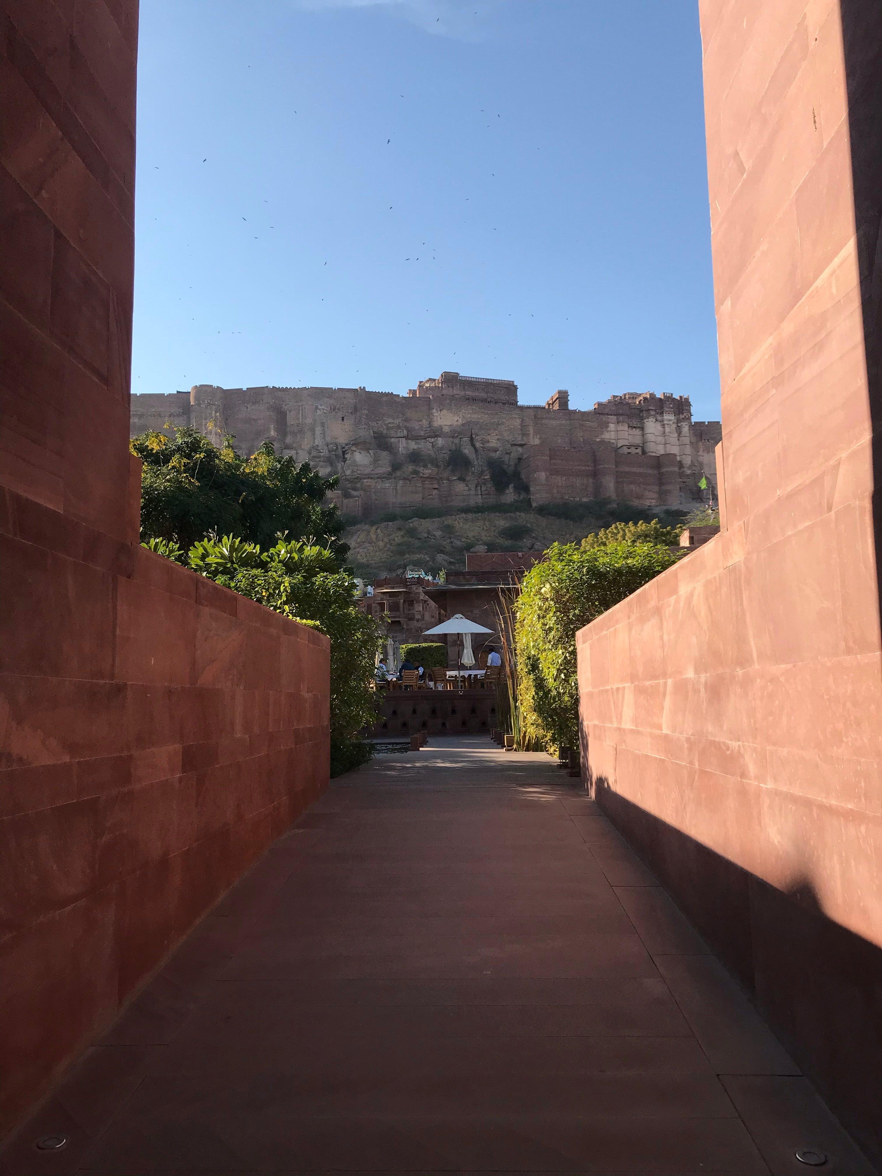 Amazing Jodhpur!