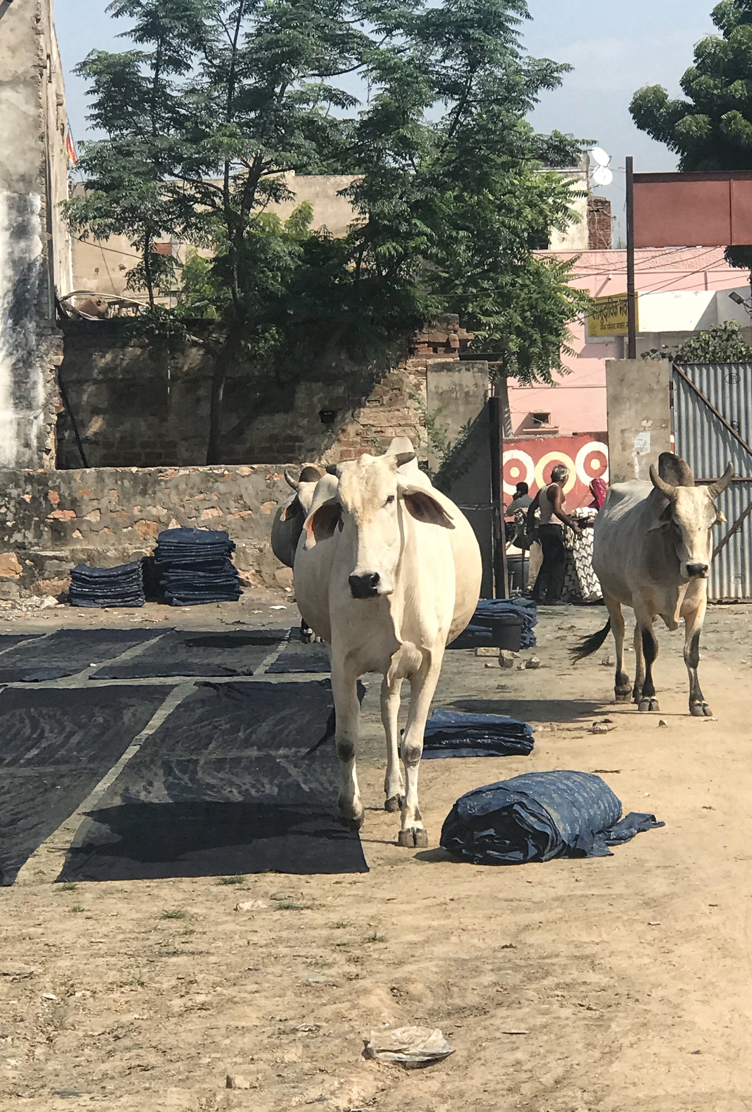 Eight Years, Four Crafts, and Over a Quarter of a Million Euros: Here's What We've Built Together